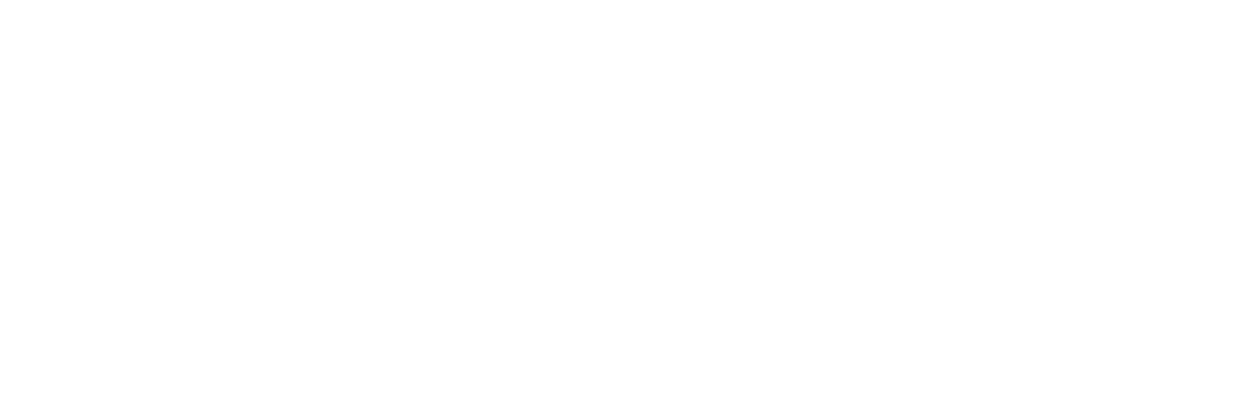 Minimal white outline version of the Park Place senior living logo